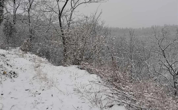 山東濟南的第一場雪